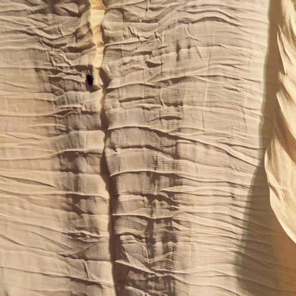 Chic Cream Ruffled Blouse - Picture 5 of 7